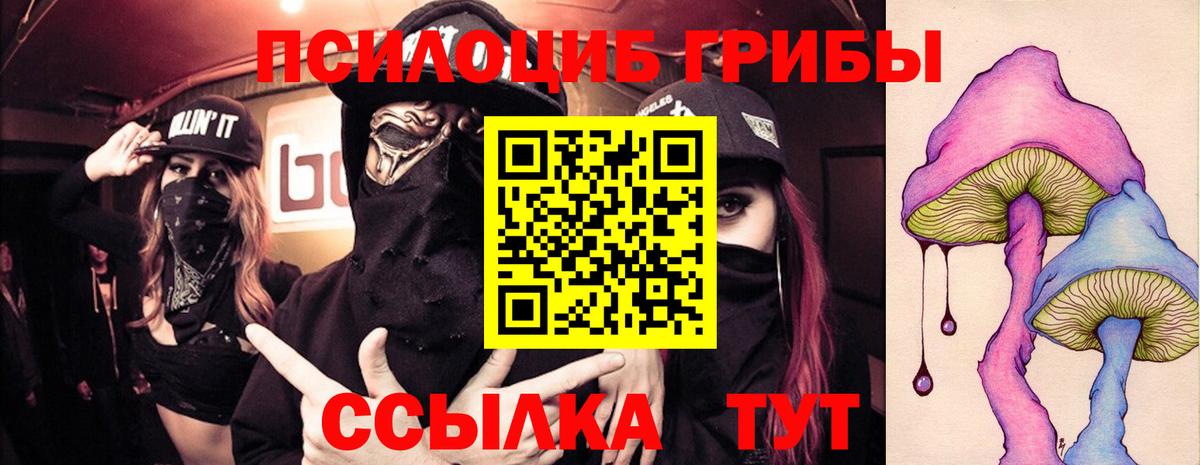 Бахчисарай  Галлюциногенные грибы Psilocybe  Вход с VPN 